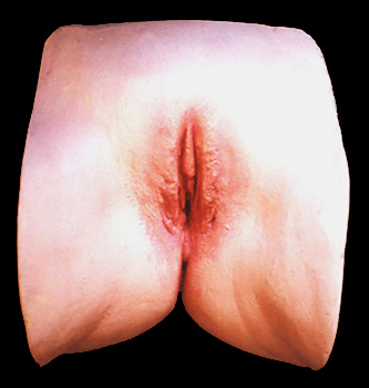 ea-b-lips.jpg (40376 bytes)