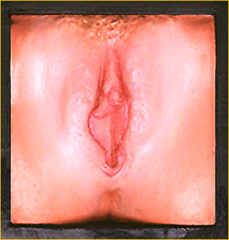 ea-m-lips1.jpg (52956 bytes)