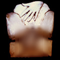 ea-penetrationcopy.jpg (13422 bytes)