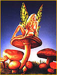illustrations-butterflyladycopy.jpg (18624 bytes)